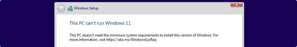 cant-run-win11